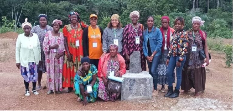  Participatory diagnosis of the ‘Femme Rurale du Littoral’ cooperative (Rural Woman of the Littoral) 