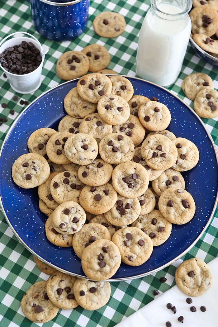 Mini Chocolate Chip Cookies