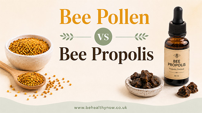 bee pollen vs bee propolis