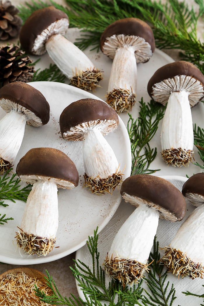 Spiced Mushroom Cookies - Sprinkle Bakes